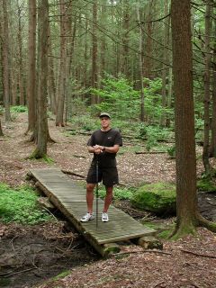 An Elvish bridge in the enchanted forest.