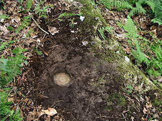 Eye-level view of the mark on the rock shelf.