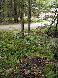 Looking SSE toward School House Road.