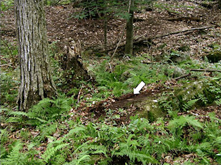 The mark set in the rock shelf.