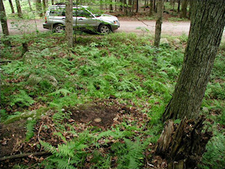 Orientation view, facing SE, School House Road.