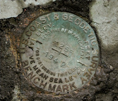 NGS Bench Mark Disk X 255