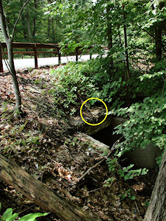 View, facing south along Rt. 44 (mark indicated).