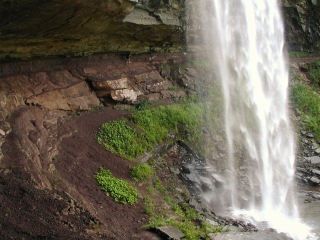 Rich walks along the trail behind the falls.