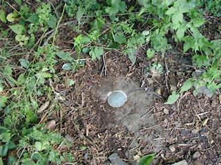 Eye-level view of the mark on the boulder.