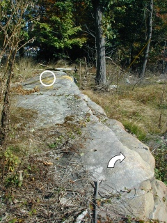 Looking east from the reference mark (in the foreground) to the station disk (in the background).