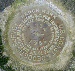 NGS Bench Mark Disk M 234