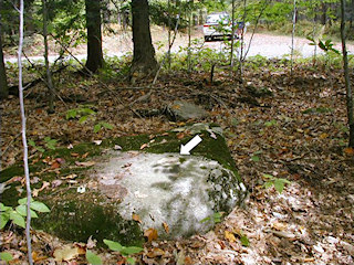 Looking E toward Beaver Dam Road and trailhead.