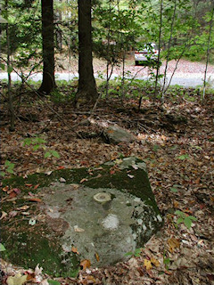 Orientation view, facing east, Beaver Dam Road.