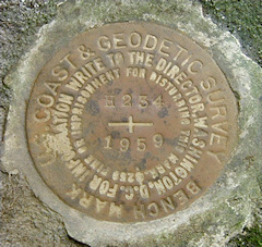 NGS Bench Mark Disk H 234