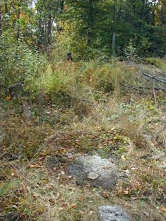 Station PINE is nearly flush with the ground.