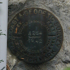 NGS Bench Mark Disk A 254