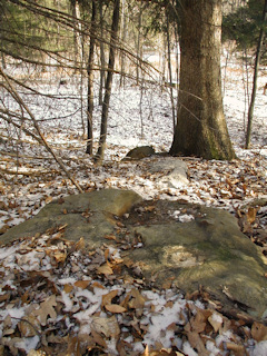 The old cabin was nearby. Concrete steps are all that remain of the old structure.