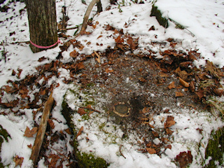 An eye-level view of the disk on the boulder. One of the marked trees can be seen in the background.