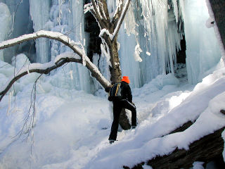 I tried to go inside, but the entranceway was too slippery. Gina was also concerned about icicles falling and impaling me.