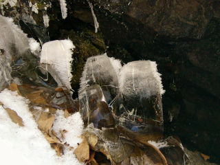 We noticed these ice “teeth” in a little cave beneath an overhanging rock.