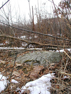 Looking southeast toward powerline pole 56922 N44837.