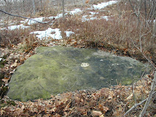 This rock outcrop now projects only a few inches above the level of the ground.