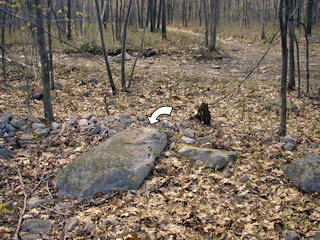 Looking southeast toward the trail intersection.