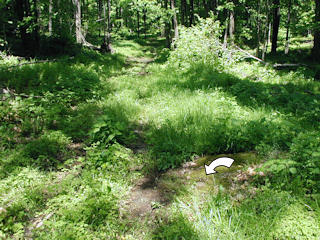 Looking N, downhill along the trail. The boulder is right in the center of the trail.