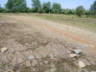 Looking W across field road.