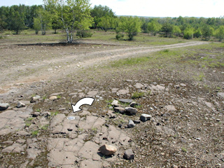 Looking N across field road, no fence in sight.