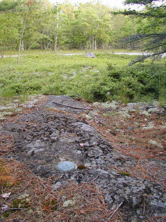 The general area; looking out toward the road.