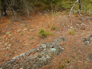 The general area near the station mark.