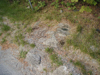 Eyelevel view of mark in rock outcrop.