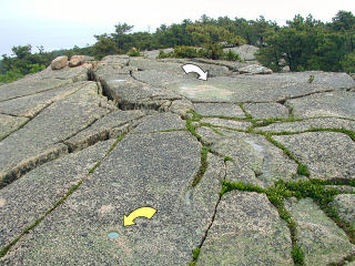 Looking generally N toward the station. RM1 indicated by yellow arrow, station by white arrow.