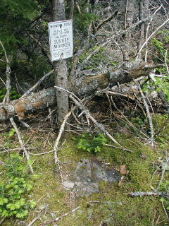 Eyelevel view of the mark on outcropping rock and witness sign.