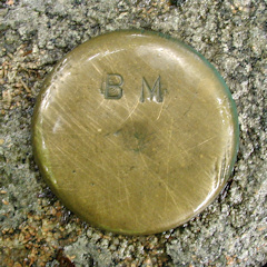 Bench Mark Disk BM (Unstamped, Wild Gardens of Acadia)