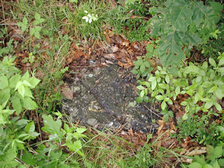 An eyelevel view of the chiseled square on the rock.