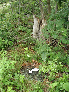 The large flat rock and the stump. The chiseled square is indicated.