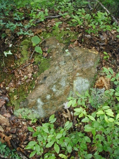 Somewhat obscured by foliage, this chiseled square was our most difficult find today.