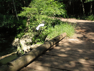 The mark is located on this large sloping boulder near the northwest corner of the bridge over Masthope Creek. Location of mark is indicated.