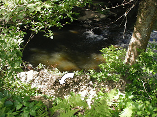 View from the dirt road, looking south toward the mark.