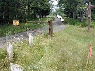 Looking NW at gate and culvert.