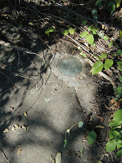 Eyelevel view of the disk on the boulder.