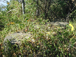 The boulder is well-covered.