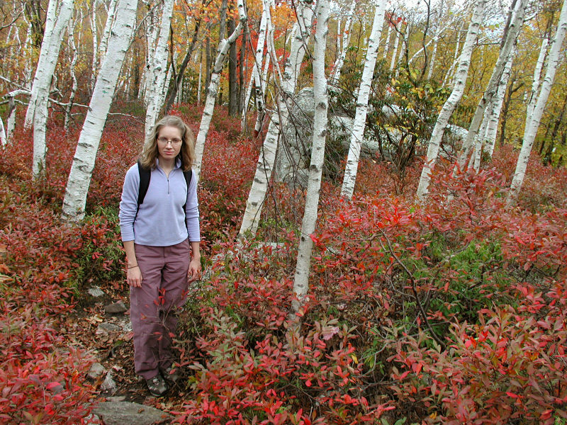 Zhanna among the birches and blueberries