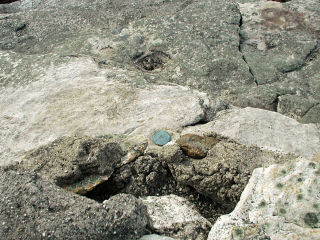 Eyelevel view of the disk in the outcrop.