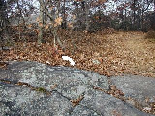 A wider view showing the extent of the outcrop.