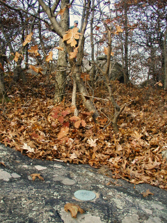 Looking NNW toward the station, where Rich stands.