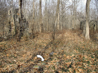 Looking northwest toward the remaining walls of the Old Long House.