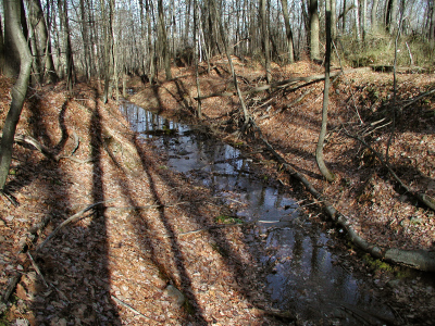 Some icy water drains from around the opening.