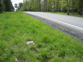 Looking SE toward Route 590.