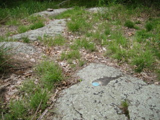 Eyelevel view of the disk on outcropping rock.