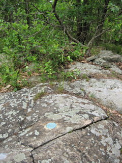 Looking SSE toward the station.