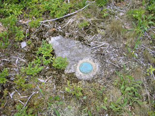 Eyelevel view of the disk on the bedrock, just poking out from beneath moss and other ground cover.